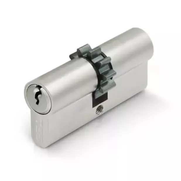 سليندر عجل Yale