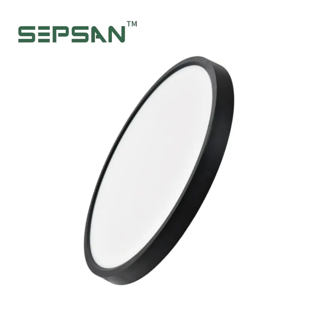 جلوب SEPSAN BRILLO SLIM 22W CCT اسود